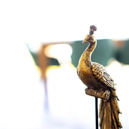 Design Zentral Fuer 6 In Andernach: Ausblick, Wifi, Kueche Appartement Andernach