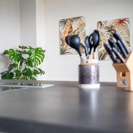 Design Zentral Fuer 6 In Andernach: Ausblick, Wifi, Kueche Appartamento Andernach